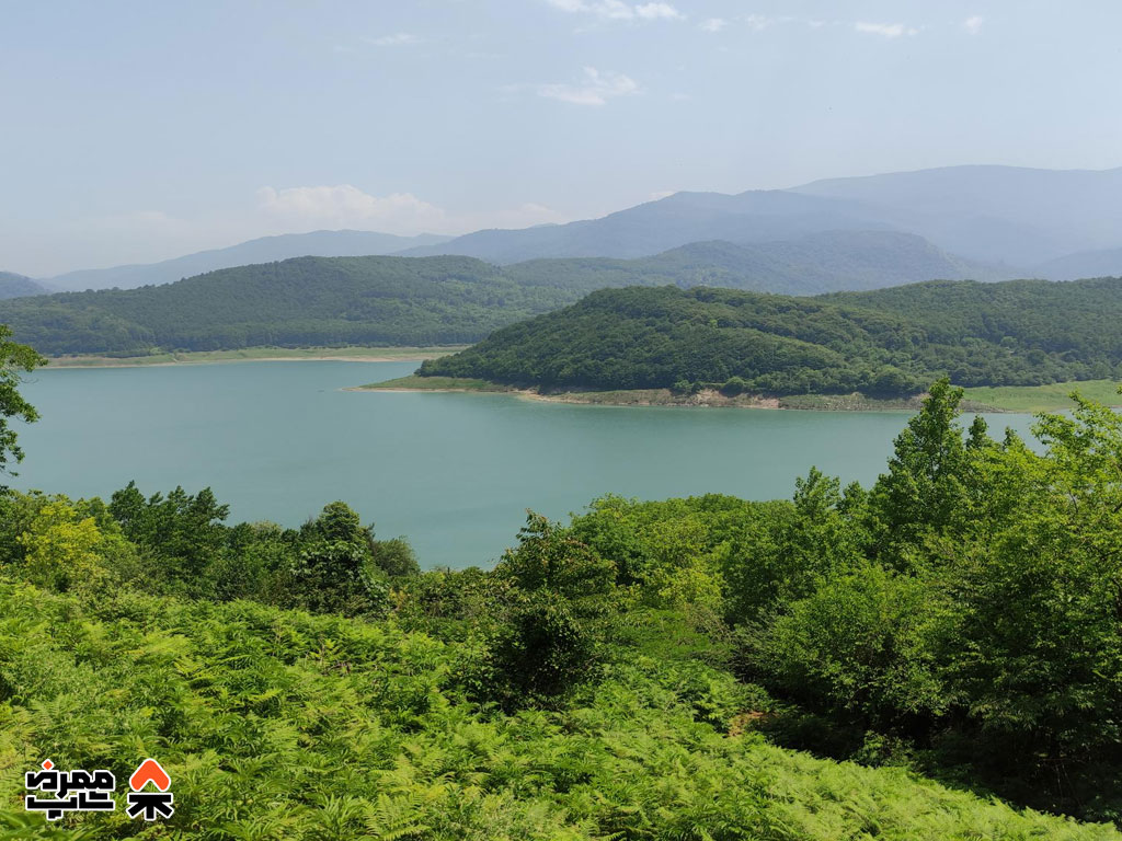 جنگل لفور - فروشگاه لوازم کمپ و طبیعت گردی ممرض شاپ