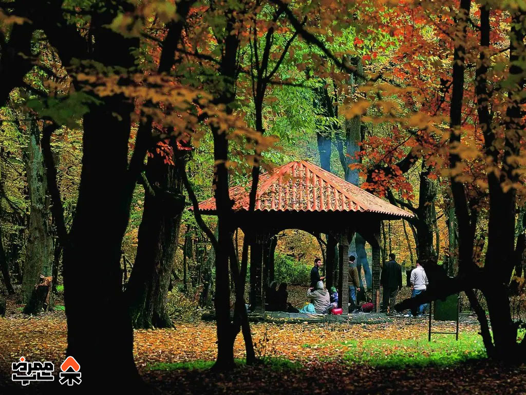 جنگل ناهارخوران - فروشگاه لوازم کمپ و طبیعت گردی ممرض شاپ