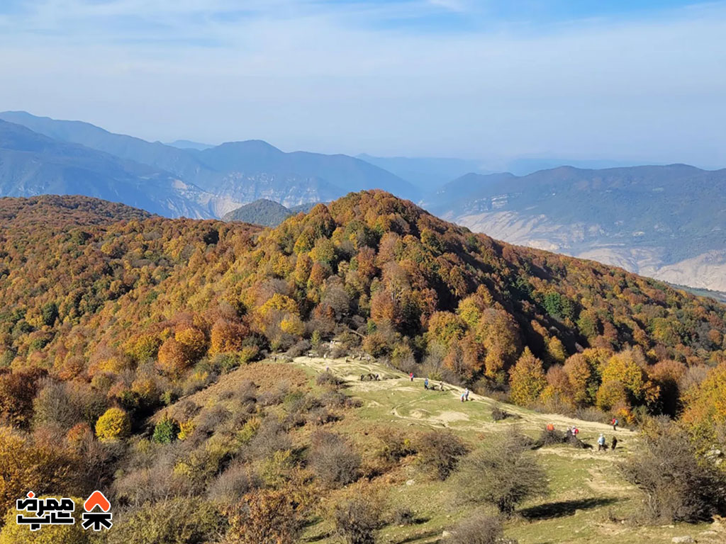 جنگل الیمستان - فروشگاه لوازم کمپ و طبیعت گردی ممرض شاپ