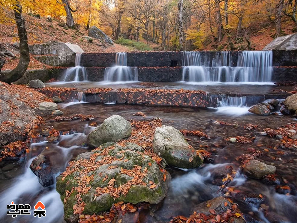 جنگل راش - فروشگاه لوازم کمپ و طبیعت گردی ممرض شاپ