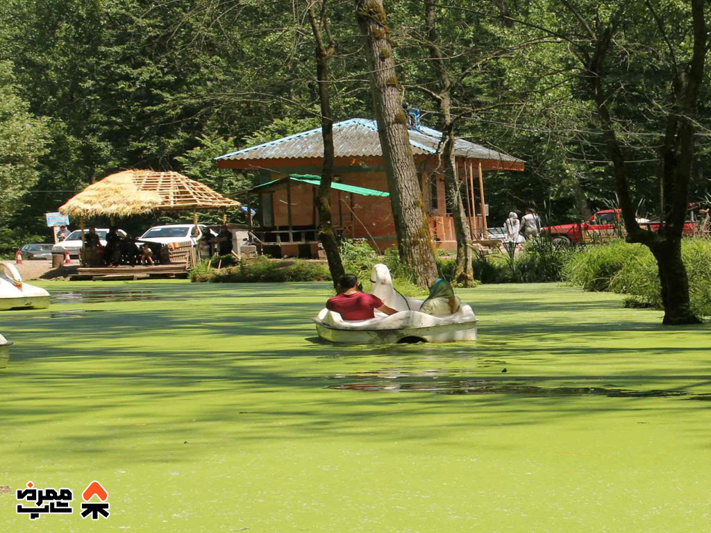 جنگل سراوان - فروشگاه لوازم کمپ و طبیعت گردی ممرض شاپ