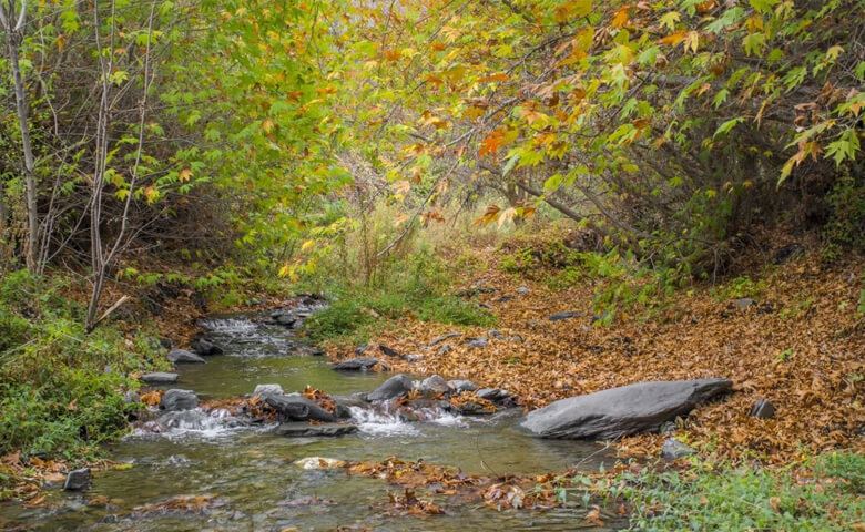 بهترین مکان‌های طبیعت‌گردی اطراف مشهد