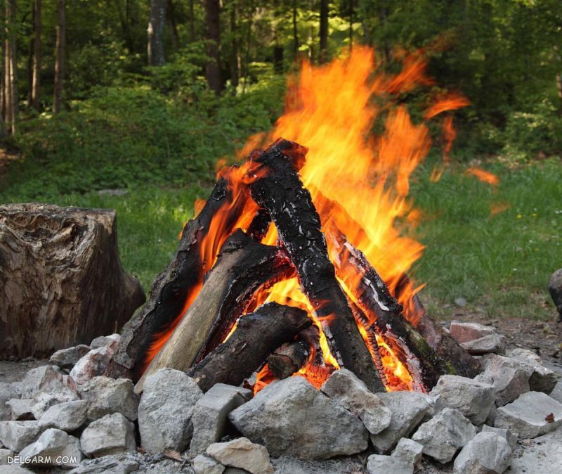 چطور در طبیعت آتش روشن کنیم | راهنمای کامل